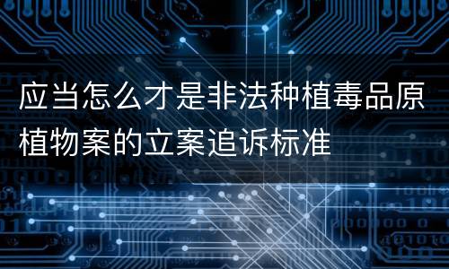 应当怎么才是非法种植毒品原植物案的立案追诉标准