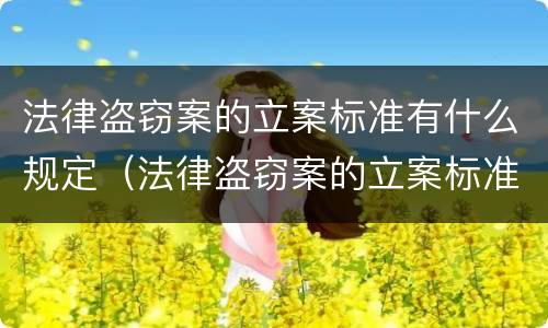 法律盗窃案的立案标准有什么规定（法律盗窃案的立案标准有什么规定嘛）