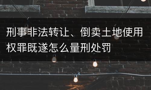 刑事非法转让、倒卖土地使用权罪既遂怎么量刑处罚