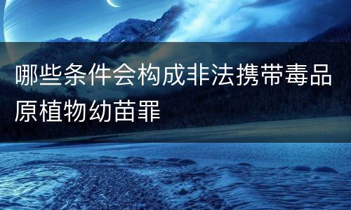 哪些条件会构成非法携带毒品原植物幼苗罪