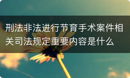 刑法非法进行节育手术案件相关司法规定重要内容是什么