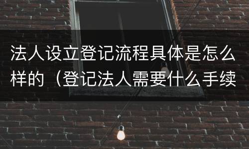 法人设立登记流程具体是怎么样的（登记法人需要什么手续）