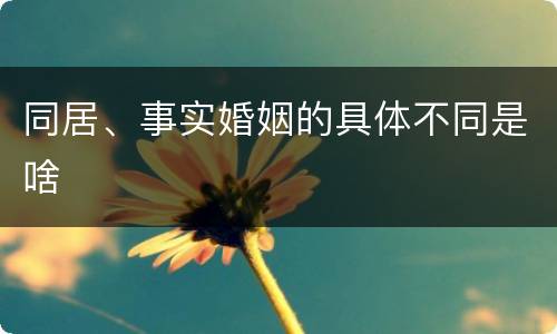 同居、事实婚姻的具体不同是啥