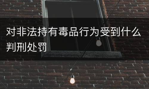 对非法持有毒品行为受到什么判刑处罚