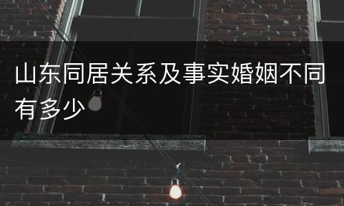 山东同居关系及事实婚姻不同有多少