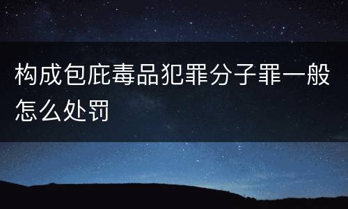 构成包庇毒品犯罪分子罪一般怎么处罚
