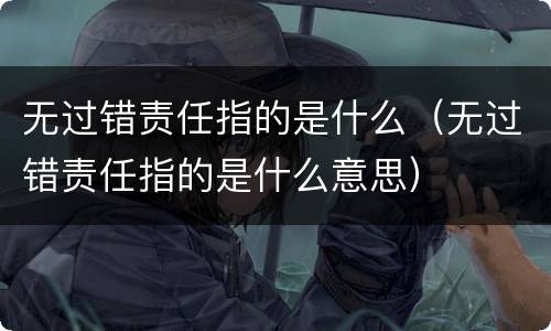 无过错责任指的是什么（无过错责任指的是什么意思）