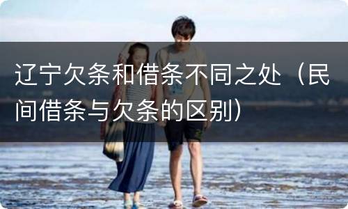 辽宁欠条和借条不同之处（民间借条与欠条的区别）