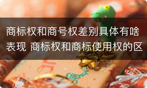 商标权和商号权差别具体有啥表现 商标权和商标使用权的区别