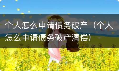 个人怎么申请债务破产（个人怎么申请债务破产清偿）