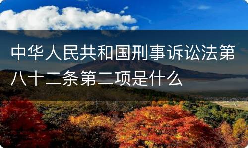中华人民共和国刑事诉讼法第八十二条第二项是什么
