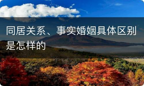 同居关系、事实婚姻具体区别是怎样的