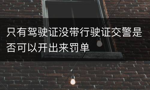 只有驾驶证没带行驶证交警是否可以开出来罚单