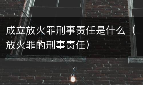 成立放火罪刑事责任是什么（放火罪的刑事责任）