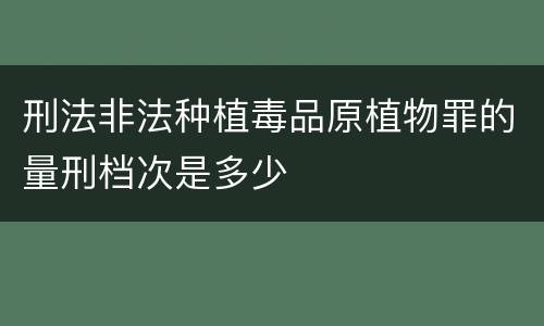 刑法非法种植毒品原植物罪的量刑档次是多少