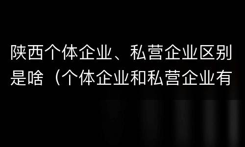 陕西个体企业、私营企业区别是啥（个体企业和私营企业有哪些）