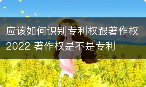 应该如何识别专利权跟著作权2022 著作权是不是专利
