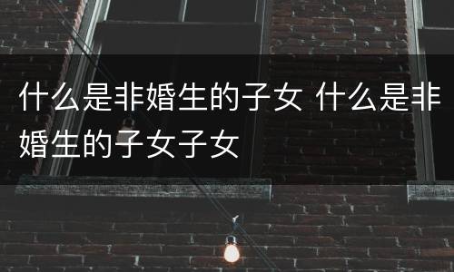 什么是非婚生的子女 什么是非婚生的子女子女
