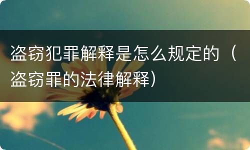 盗窃犯罪解释是怎么规定的（盗窃罪的法律解释）
