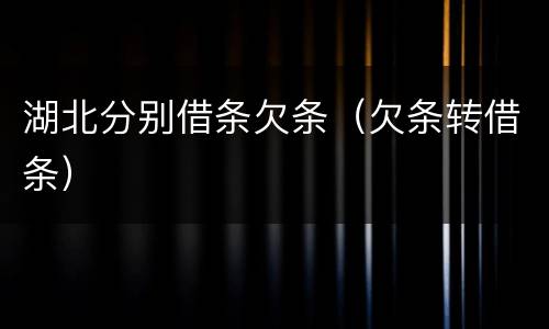 湖北分别借条欠条（欠条转借条）