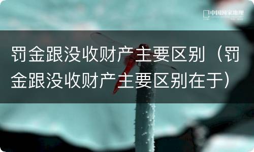 罚金跟没收财产主要区别（罚金跟没收财产主要区别在于）