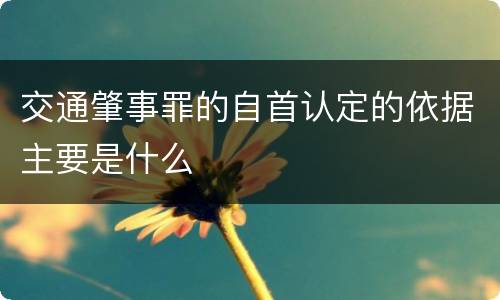 交通肇事罪的自首认定的依据主要是什么