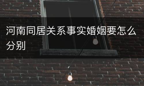 河南同居关系事实婚姻要怎么分别