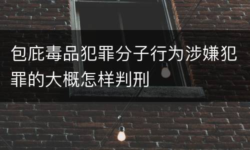包庇毒品犯罪分子行为涉嫌犯罪的大概怎样判刑