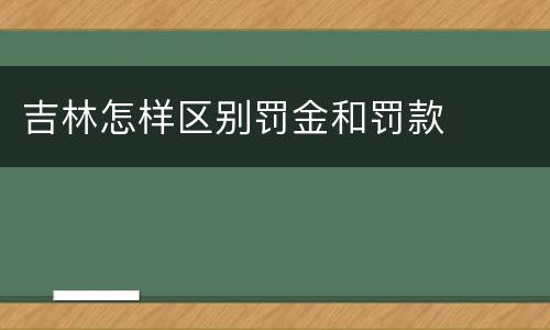 吉林怎样区别罚金和罚款