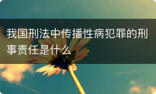 我国刑法中传播性病犯罪的刑事责任是什么