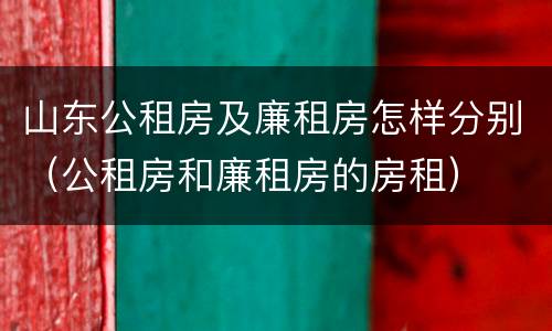 山东公租房及廉租房怎样分别（公租房和廉租房的房租）
