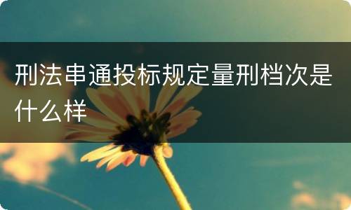 刑法串通投标规定量刑档次是什么样