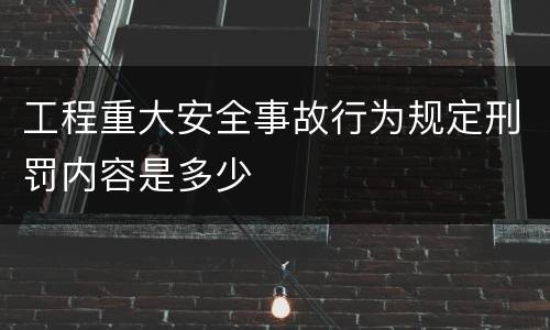 工程重大安全事故行为规定刑罚内容是多少