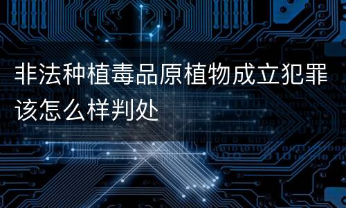 非法种植毒品原植物成立犯罪该怎么样判处