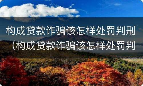 构成贷款诈骗该怎样处罚判刑（构成贷款诈骗该怎样处罚判刑案例）