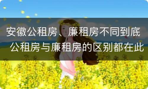 安徽公租房、廉租房不同到底 公租房与廉租房的区别都在此,别再搞错了!