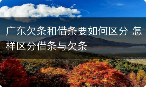 广东欠条和借条要如何区分 怎样区分借条与欠条