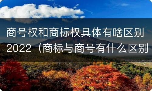 商号权和商标权具体有啥区别2022（商标与商号有什么区别）