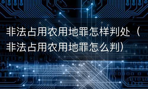 非法占用农用地罪怎样判处（非法占用农用地罪怎么判）