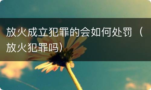放火成立犯罪的会如何处罚（放火犯罪吗）