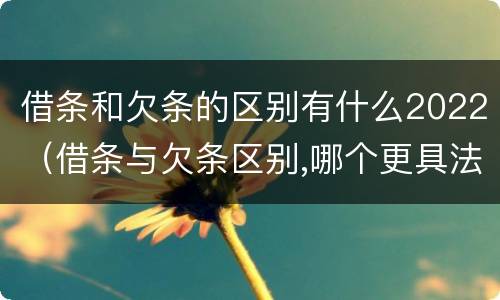 借条和欠条的区别有什么2022（借条与欠条区别,哪个更具法律）