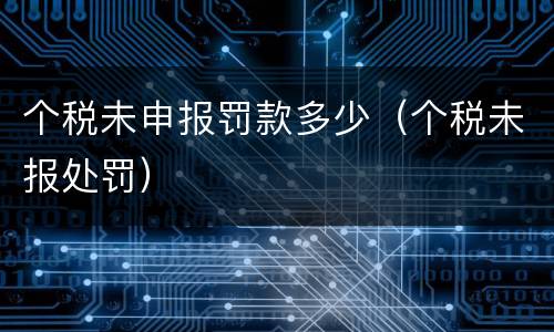 个税未申报罚款多少（个税未报处罚）