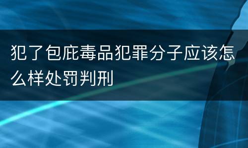 犯了包庇毒品犯罪分子应该怎么样处罚判刑