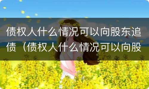 债权人什么情况可以向股东追债（债权人什么情况可以向股东追债买股票）