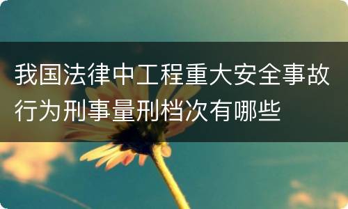 我国法律中工程重大安全事故行为刑事量刑档次有哪些