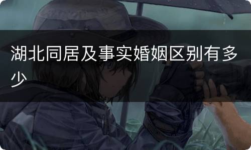 湖北同居及事实婚姻区别有多少