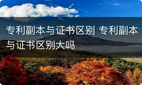 专利副本与证书区别 专利副本与证书区别大吗