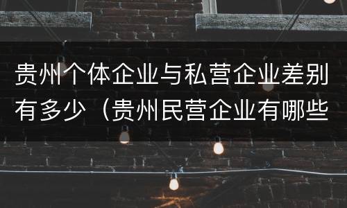 贵州个体企业与私营企业差别有多少（贵州民营企业有哪些）