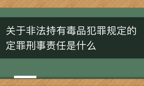 关于非法持有毒品犯罪规定的定罪刑事责任是什么