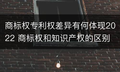 商标权专利权差异有何体现2022 商标权和知识产权的区别